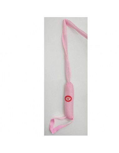 Tradineur - Perrita de peluche, anda/baila y canta, incluye correa rígida de 75 cm, peluche musical para pasear, juguete infanti