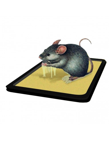 Tradineur - Trampa Adhesiva para Ratones e Insecto - 2 Unidades - No Tóxico - Fácil colocación