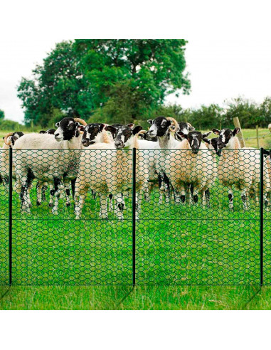 Tradineur - Rollo de malla metálica galvanizado, hexagonal, valla, cierre de alambre, cercar jardín, gallinero, finca, alta resi