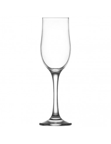 Tradineur - Set de 6 copas champán "Nevakar" - Capacidad 195 ml - Aptas para lavavajillas - Tamaño: 20,5 x 5,4 cm