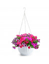 Tradineur - Maceta redonda colgante de plástico, tiesto, macetero, recipiente para plantas, flores, balcón, terraza, hogar, fabr