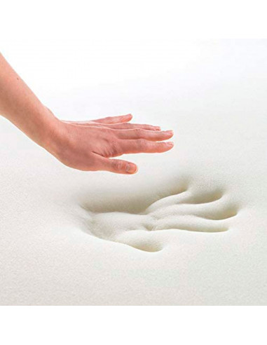 Tradineur - Almohada viscoelástica de Aloe Vera Antiácaros - Fabricada en Fibra hueca Poliéster - Forma rectangular - 75 cm