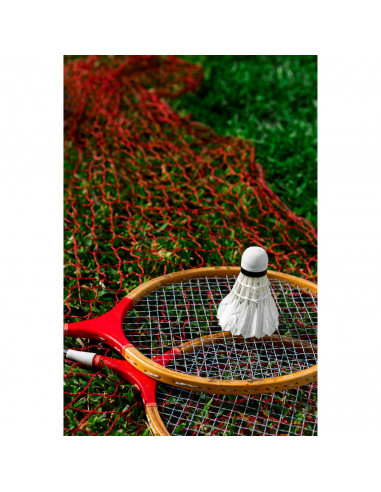 Tradineur - Pack de 6 volantes de bádminton, plumas de ganso, accesorios para deportes de raqueta, entrenamiento, competición (B