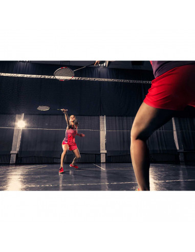 Tradineur - Pack de 6 volantes de bádminton, plumas de ganso, accesorios para deportes de raqueta, entrenamiento, competición (B