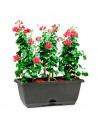 Tradineur - Jardinera con plato integrado de plástico, tiesto, macetero de polipropileno, recipiente para plantas, flores, balcó