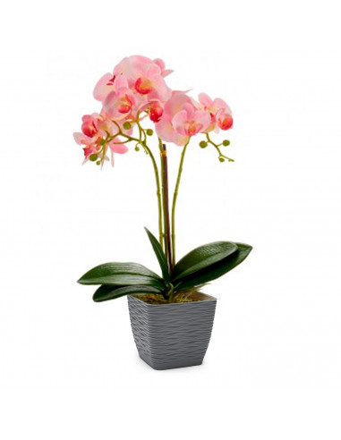 Tradineur - Maceta cuadrada de plástico con plato integrado, tiesto, macetero de polipropileno, recipiente para plantas, flores,