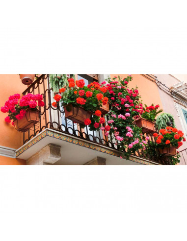 Tradineur - Soporte de metal para jardinera de balcón, incluye ganchos, colgar maceteros, plantas, flores, parapetos y barandas,
