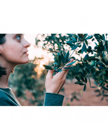 Tradineur - Malla para recogida aceitunas, polietileno de alta densidad, red de recolección de frutos, resistente y duradera, li
