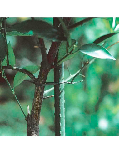 Tradineur - Pack de 12 tutores de acero plastificado para plantas, varillas, guías, estacas para el crecimiento correcto de cult