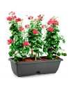 Tradineur - Jardinera de plástico con plato integrado, polipropileno, tiesto, macetero, recipiente para plantas, flores, balcón,
