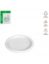Tradineur - Pack de 10 platos llanos redondos reutilizables de plástico, 100% reciclables, extra resistentes, higiénicos, apilab