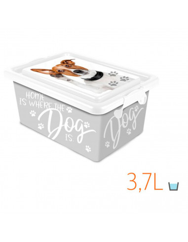 Tradineur - Caja de plástico con cierres laterales de clip y tapa, cajón de almacenaje multiusos, ordenación, objetos, hogar, fa