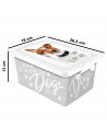 Tradineur - Caja de plástico con cierres laterales de clip y tapa, cajón de almacenaje multiusos, ordenación, objetos, hogar, fa