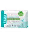 Tradineur - Toallitas Refrescantes - Incluye 20 Unidades - Material Natural - Alumbre, Aloe vera y Camomila - Fibras 100% Origen