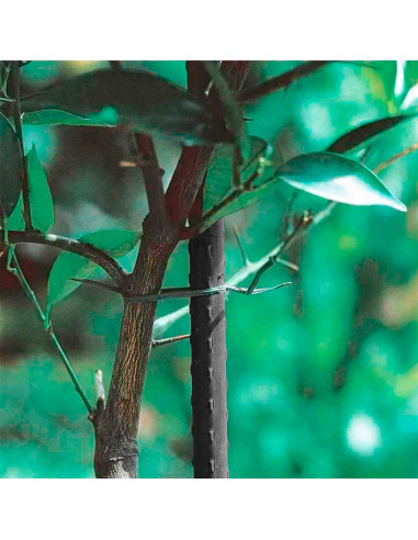 Tradineur - Pack de 12 tutores de Acero plastificado para Plantas de Ø 0,80 x 120 cm, Ideal para el Cuidado del jardín. Varillas