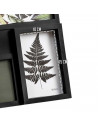 Tradineur - Multimarco de sobremesa para 4 fotos - Modelo jungle - Fabricado en plástico - 27 x 27 cm - Color Negro