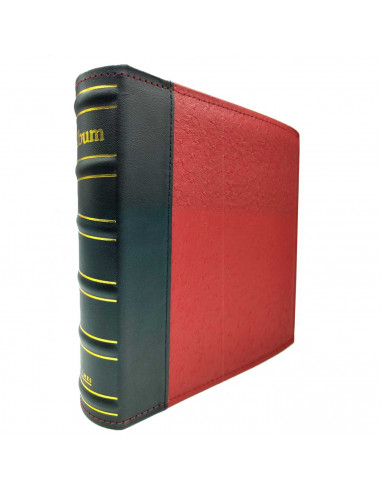 Tradineur - Álbum de foto - Capacidad 100 fotos de 10 x 15 cm con Memo - Fabricación en cartón - Ideal para guardar todas tus fo