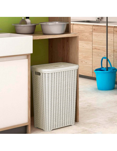 Tradineur - Cesto para ropa sucia con asas y tapa, pongotodo rattan de plástico, cubo para colada, imitación mimbre, hogar (Beig