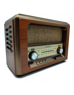 Tradineur - Radio vintage "Hip Hop" portátil - Bluetooth - Bandas AM/FM/SW - Batería recargable - Ranuras USB y TF - Antena retr