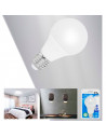 Tradineur - Bombilla LED estándar, globo, A70, E27, 17W equivalente a 153W, 1530 lúmenes, 6400K, luz blanca fría, eficiencia ene