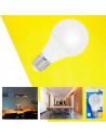 Tradineur - Bombilla LED estándar, globo, A60, E27, 8W equivalente a 72W, 720 lúmenes, 3000K, luz cálida, eficiencia energética