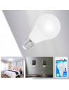 Tradineur - Bombilla LED estándar, globo, A60, E27, 6W equivalente a 54W, 540 lúmenes, 6400K, luz blanca fría, eficiencia energé