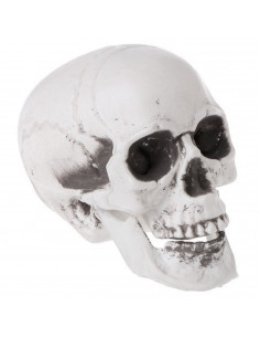 Tradineur - Calavera para Halloween, plástico, cráneo, decoración de interior, carnaval, fiestas, celebraciones, 15 cm