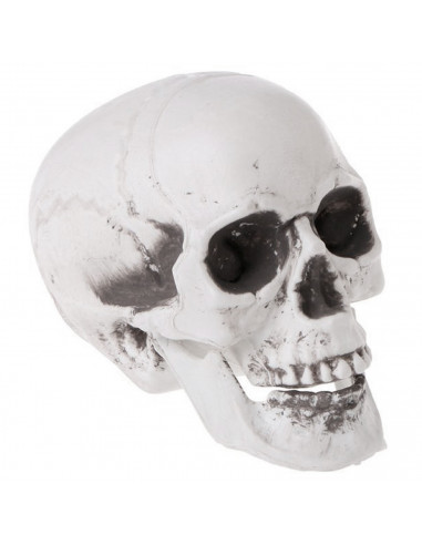 Tradineur - Calavera para Halloween, plástico, cráneo, decoración de interior, carnaval, fiestas, celebraciones, 15 cm