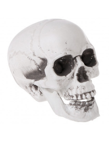 Tradineur - Calavera para Halloween, plástico, cráneo, decoración de interior, carnaval, fiestas, celebraciones, 15 cm Tradineur - Calavera para Halloween, plástico, cráneo, decoración de interior, carnaval, fiestas, celebraciones, 15 cm
