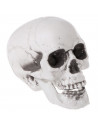 Tradineur - Calavera para Halloween, plástico, cráneo, decoración de interior, carnaval, fiestas, celebraciones, 15 cm