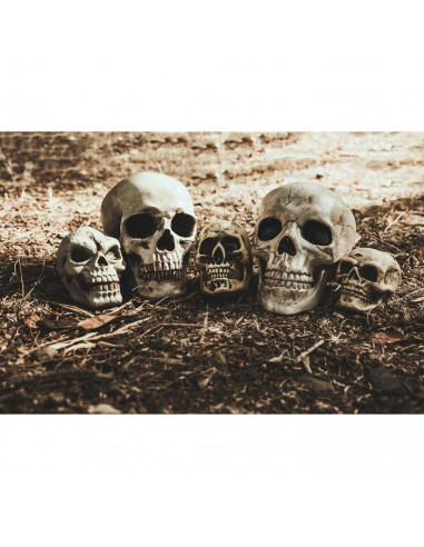 Tradineur - Calavera para Halloween, plástico, cráneo, decoración de interior, carnaval, fiestas, celebraciones, 15 cm