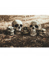 Tradineur - Calavera para Halloween, plástico, cráneo, decoración de interior, carnaval, fiestas, celebraciones, 15 cm