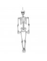 Tradineur - Esqueleto colgante para Halloween - Fabricado en plástico - Adorno para decoración - Longitud 48 cm - Color Blanco