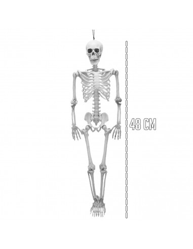 Tradineur - Esqueleto colgante para Halloween - Fabricado en plástico - Adorno para decoración - Longitud 48 cm - Color Blanco