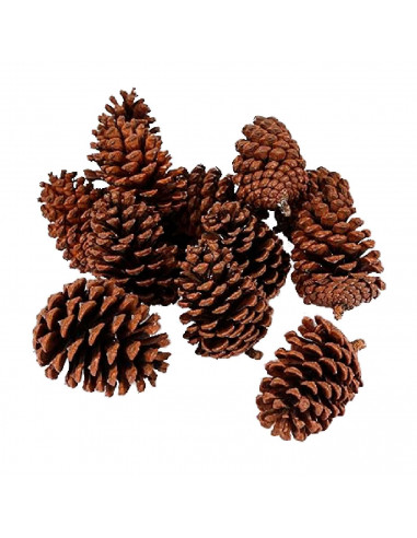 Tradineur - Pack de 4 redes 200G de piñas navideñas - Piñas naturales - Decoración para temporada navideña