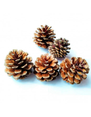 Tradineur - Pack de 4 redes 200G de piñas navideñas - Piñas naturales - Decoración para temporada navideña