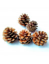 Tradineur - Pack de 4 redes 200G de piñas navideñas - Piñas naturales - Decoración para temporada navideña