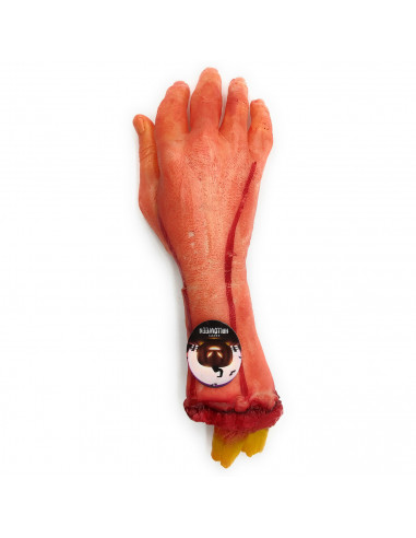 Tradineur - Mano larga cortada para Halloween, plástico, decoración siniestra de interior, realista, fiestas, celebraciones, car