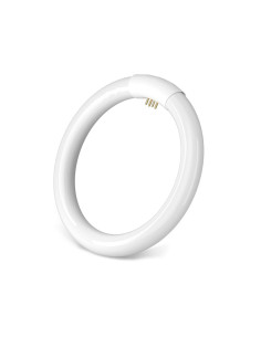 Tradineur - Tubo Fluorescente Círculo - 22W - 220~240V - 1000 Lúmenes - Luz día - Eficiencia energética A - Facil Instalación -