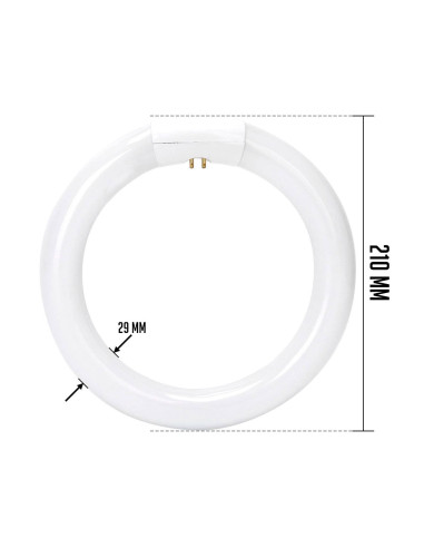 Tradineur - Tubo Fluorescente Círculo - 22W - 220~240V - 1000 Lúmenes - Luz día - Eficiencia energética A - Facil Instalación -