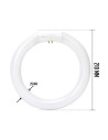 Tradineur - Tubo Fluorescente Círculo - 22W - 220~240V - 1000 Lúmenes - Luz día - Eficiencia energética A - Facil Instalación -