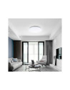 Tradineur - Tubo Fluorescente Círculo - 22W - 220~240V - 1000 Lúmenes - Luz día - Eficiencia energética A - Facil Instalación -