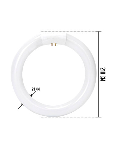 Tradineur - Tubo Fluorescente Círculo T9 - 22W - 230V/50Hz  1200 Lúmenes - Luz día - Eficiencia energética A - Facil Instalació
