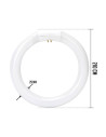 Tradineur - Tubo Fluorescente Círculo T9 - 22W - 230V/50Hz  1200 Lúmenes - Luz día - Eficiencia energética A - Facil Instalació