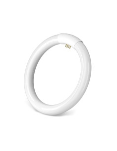 Tradineur - Tubo Fluorescente Círculo T9 - 40W - 230V/50Hz - Luz Fría - 17 Pulgadas - Ø 400 x 29 mm