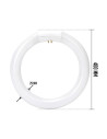 Tradineur - Tubo Fluorescente Círculo T9 - 40W - 230V/50Hz - Luz Fría - 17 Pulgadas - Ø 400 x 29 mm