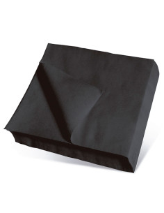 Tradineur - Pack de 50 servilletas de papel, 2 capas, biodegradables, reciclables, muy suaves, fiestas, decoración de Navidad (N