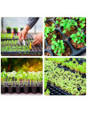 Tradineur - Pack de 3 semilleros de plástico, 30 plantas, bandejas de germinación con agujeros, crecimiento, propagación, cultiv