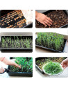 Tradineur - Pack de 5 bandejas de plástico para cultivos, bandejas de germinación, semillero, crecimiento, propagación, semillas