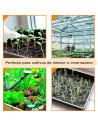 Tradineur - Pack de 5 bandejas de plástico para cultivos, bandejas de germinación, semillero, crecimiento, propagación, semillas